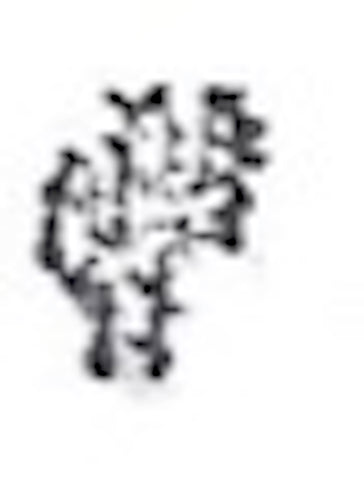 cactus stamp